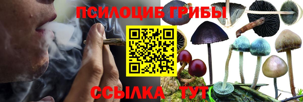 Галлюциногенные грибы ЛСД Волоколамск